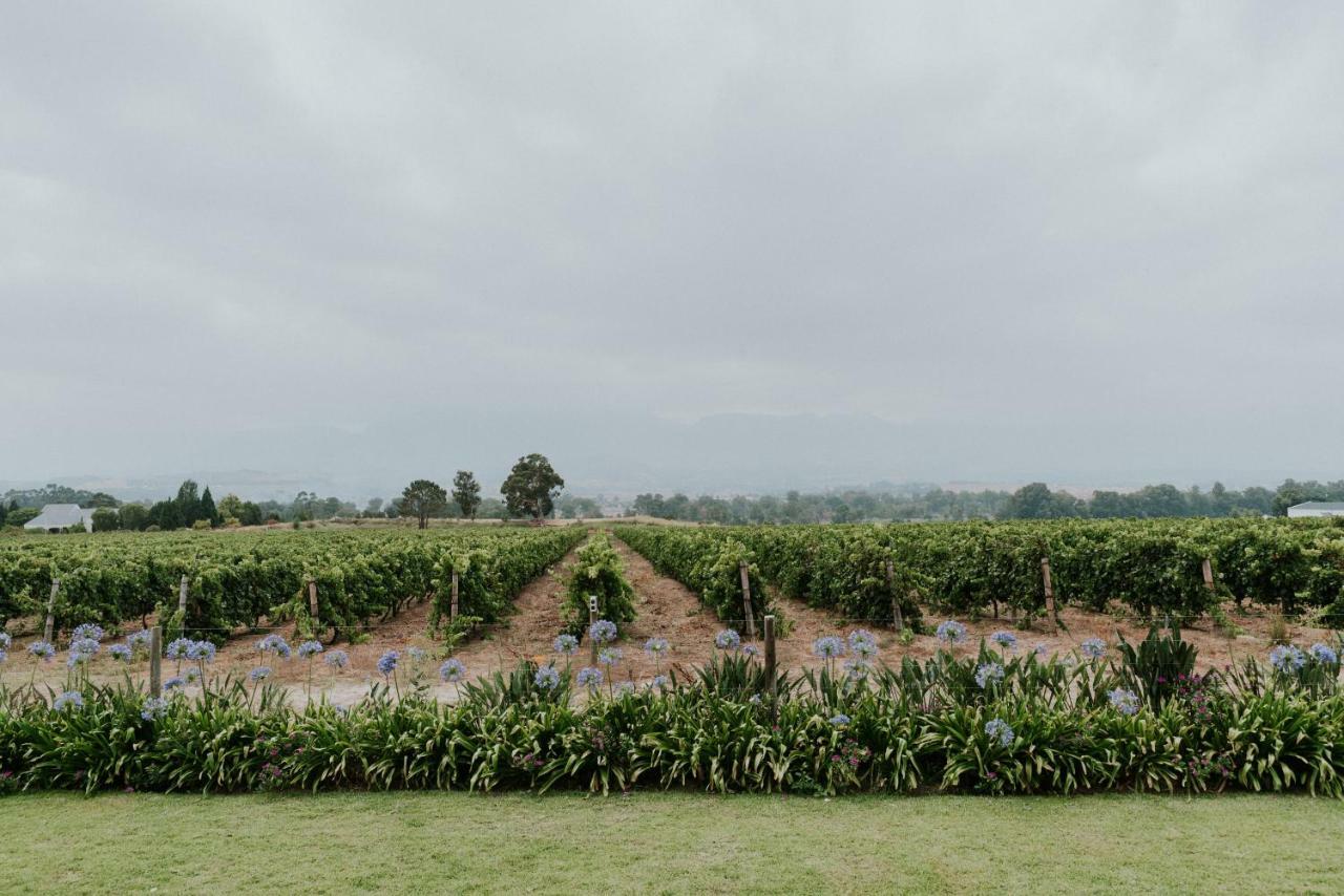 Cana Vineyard Guesthouse Paarl Eksteriør bilde